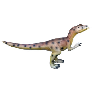 Eleven 3D Target Allosaurus with insert