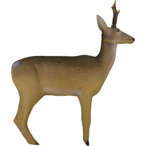 Eleven 3D Target Deer